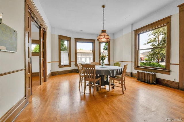 7011 Grandview Ave, Arvada, CO 80002 - dining space featuring radiator, plenty of natural light, and light wood-style flooring