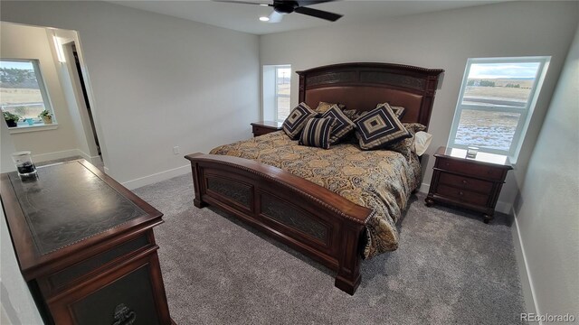 5695 Willow Creek Rd, Castle Rock, CO 80104 - photo 9