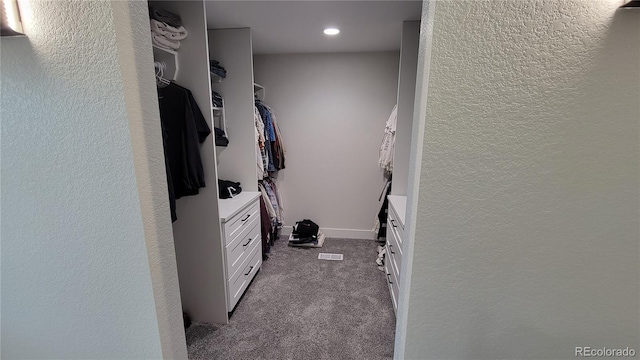 walk in closet with carpet flooring