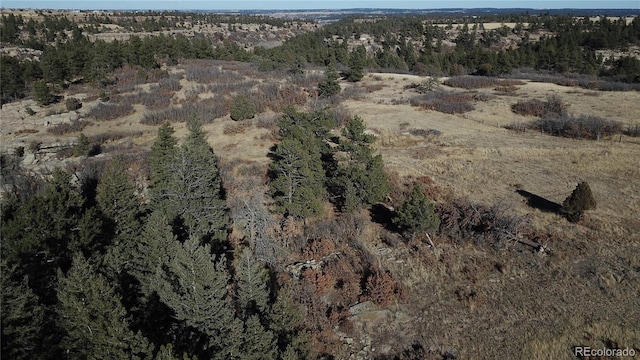 5695 Willow Creek Rd, Castle Rock, CO 80104 - photo 31