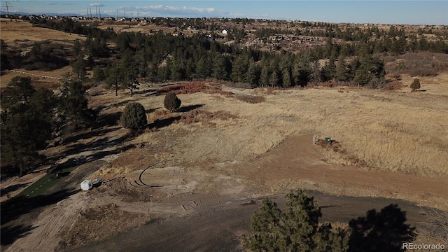 5695 Willow Creek Rd, Castle Rock, CO 80104 - photo 38