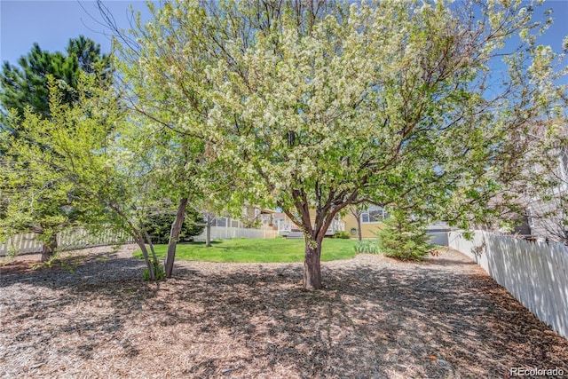 3802 Chaffee Ct, Castle Rock, CO 80109 - view of yard