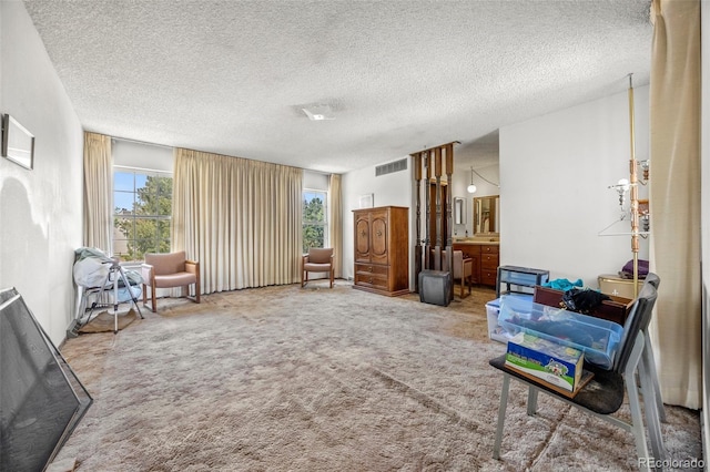 2742 S Xanadu Way, Aurora, CO 80014 - living area featuring plenty of natural light, a textured ceiling, and carpet floors