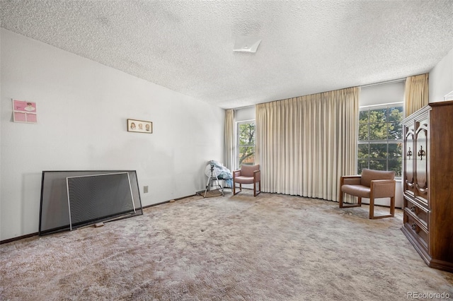 2742 S Xanadu Way, Aurora, CO 80014 - sitting room with a textured ceiling and carpet
