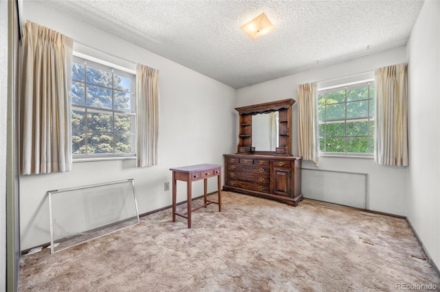 2742 S Xanadu Way, Aurora, CO 80014 - sitting room featuring a textured ceiling, healthy amount of natural light, and carpet floors