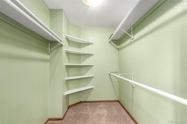5421 S Vivian St, Littleton, CO 80127 - spacious closet with carpet floors
