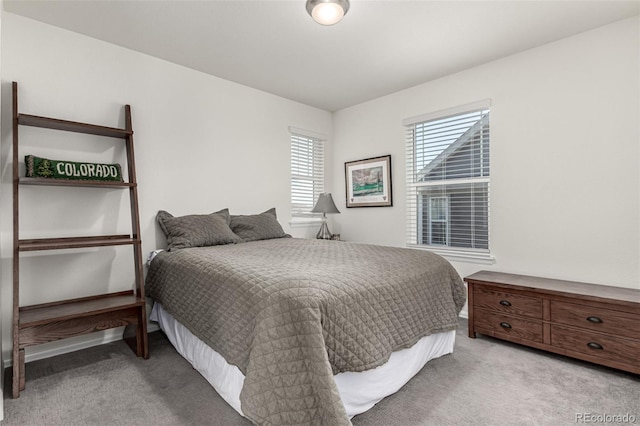 17706 Cherokee St, Broomfield, CO 80023 - photo 26