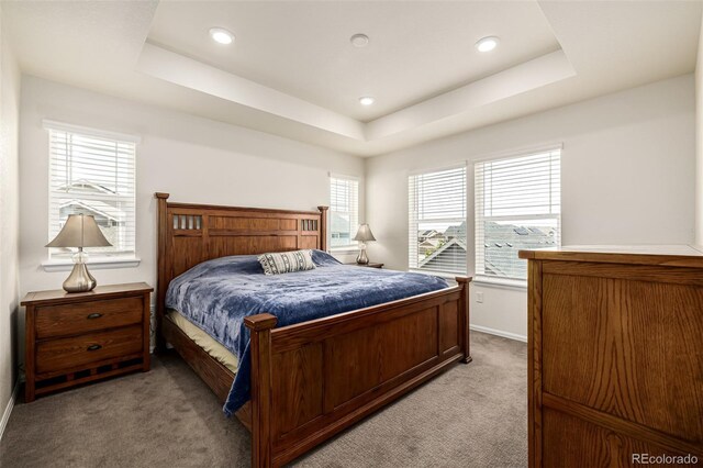 17706 Cherokee St, Broomfield, CO 80023 - photo 39