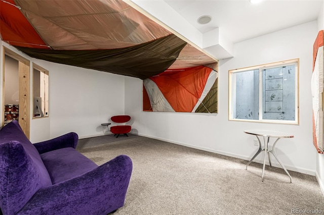 17706 Cherokee St, Broomfield, CO 80023 - photo 41