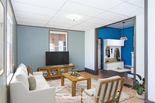 living room featuring hardwood / wood-style floors, a drop ceiling, and a baseboard radiator