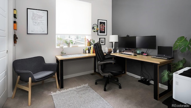 office featuring carpet and baseboards