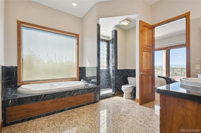 bathroom with a bathtub, plenty of natural light, vanity, and toilet