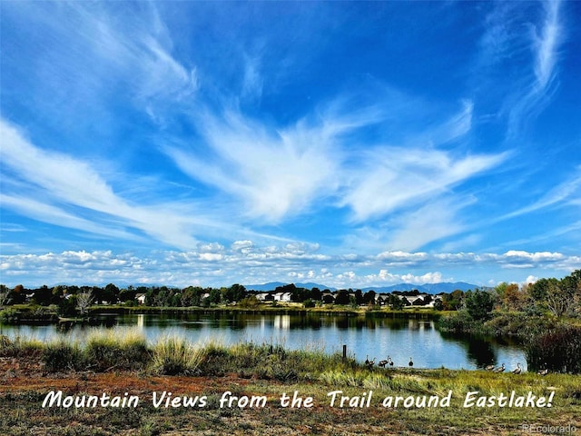 12164 Adams St, Thornton, CO 80241 - photo 41