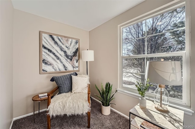 living area with carpet and baseboards