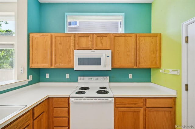 10231 Spotted Owl Ave, Highlands Ranch, CO 80129 - kitchen featuring white appliances and light countertops
