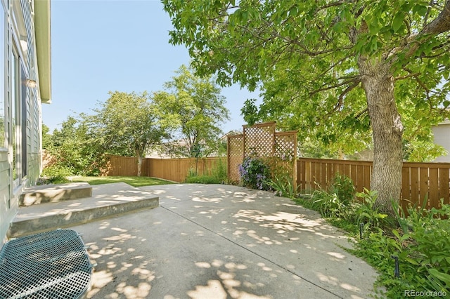 10231 Spotted Owl Ave, Highlands Ranch, CO 80129 - fenced backyard featuring a patio area