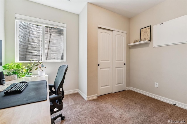 8695 E 49th Pl, Denver, CO 80238 - office with carpet and baseboards