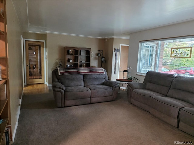 12375 W 19th Pl, Lakewood, CO 80215 - carpeted living room with ornamental molding