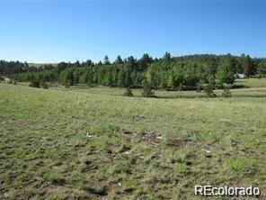 257 Bolster Dr, Hartsel, CO 80449