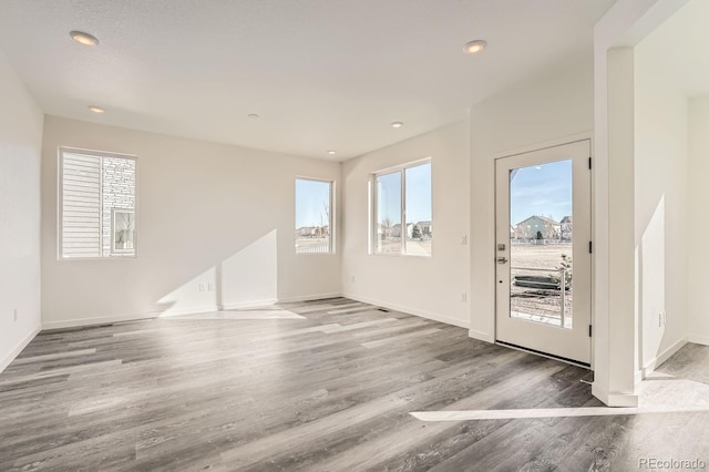 foyer entrance featuring wood-type flooring