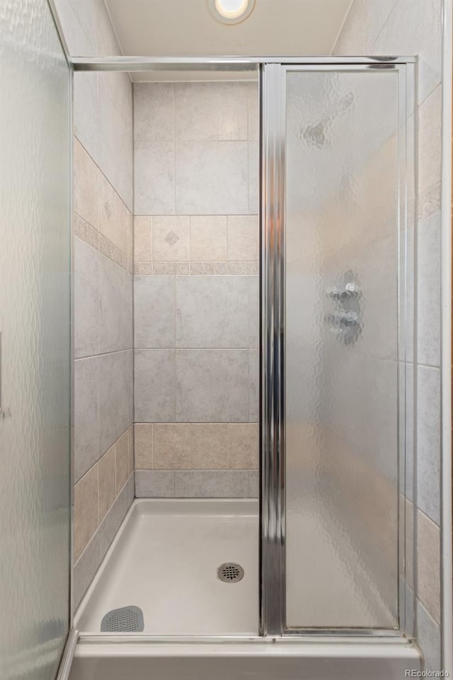 bathroom featuring a shower stall