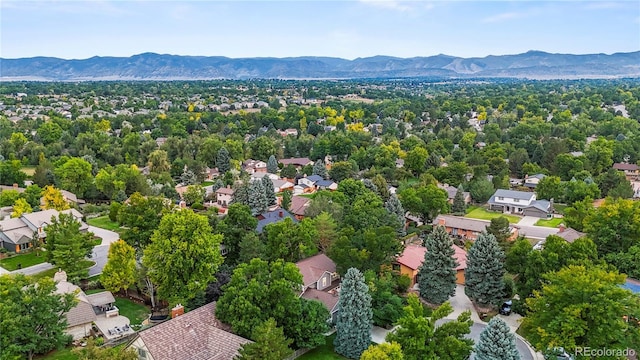 birds eye view of property featuring a mountain view