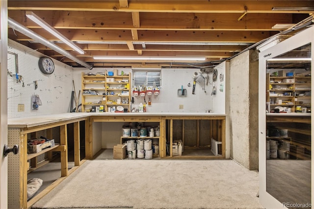 basement featuring carpet and a workshop area