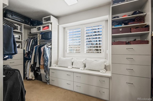 walk in closet with light carpet