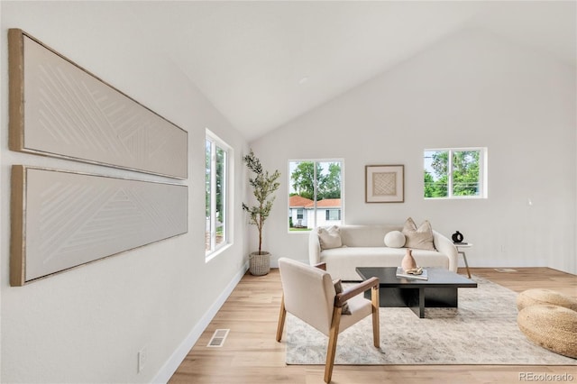 2600 S Downing St, Denver, CO 80210 - living room with light wood-style flooring and high vaulted ceiling