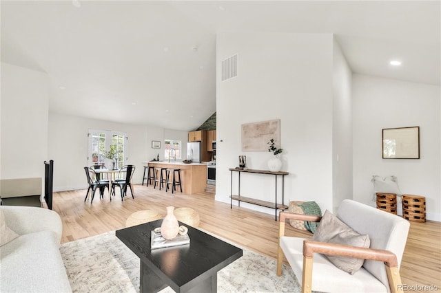2600 S Downing St, Denver, CO 80210 - living area featuring high vaulted ceiling and light wood-type flooring