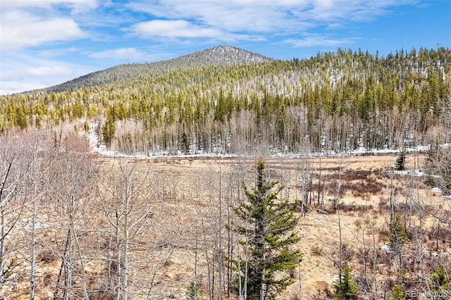 1199 Chippewa Rd, Jefferson, CO 80456