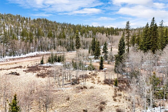 1199 Chippewa Rd, Jefferson, CO 80456