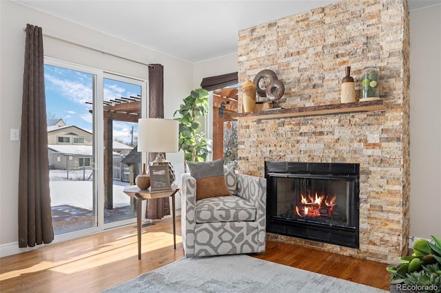 living area with wood-type flooring and a fireplace