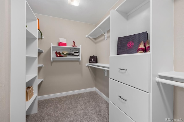 spacious closet with carpet