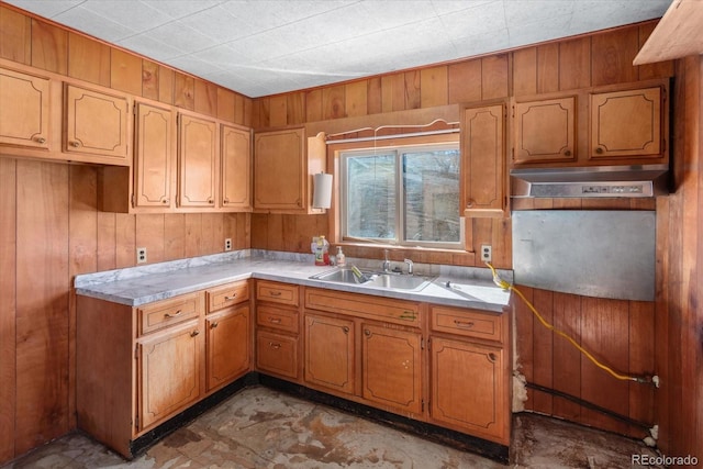 kitchen with sink and wooden walls