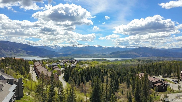 view of mountain feature with a wooded view