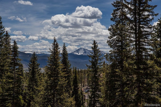 property view of mountains featuring a forest view