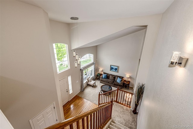 22962 Briar Leaf Ave, Parker, CO 80138 - carpeted foyer with high vaulted ceiling, wood finished floors, baseboards, and stairway