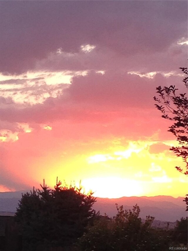 22962 Briar Leaf Ave, Parker, CO 80138 - view of nature at dusk