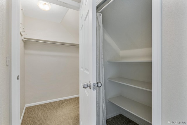 view of closet