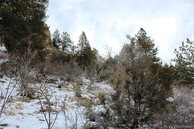 00 Two Brothers Rd, Idaho Springs, CO 80425 - photo 2