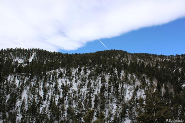 00 Two Brothers Rd, Idaho Springs, CO 80425 - photo 4