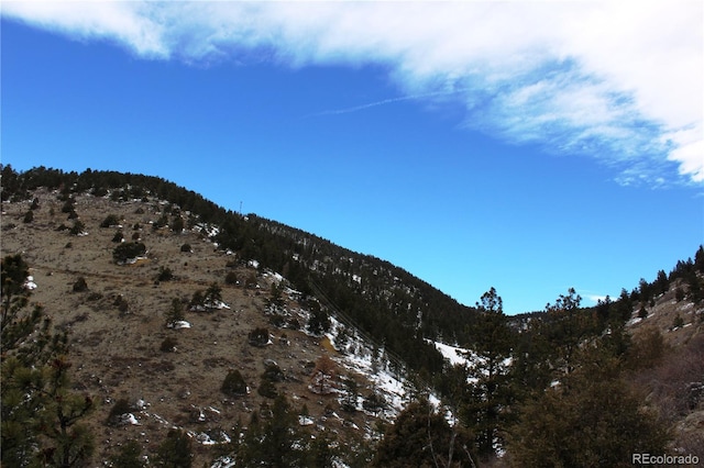 00 Two Brothers Rd, Idaho Springs, CO 80425 - photo 5