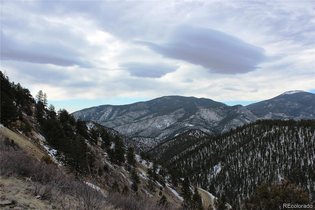 00 Two Brothers Rd, Idaho Springs, CO 80425 - photo 6