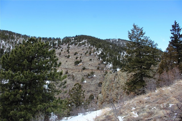 00 Two Brothers Rd, Idaho Springs, CO 80425 - photo 7