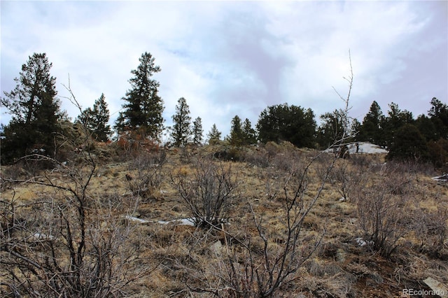 00 Two Brothers Rd, Idaho Springs, CO 80425 - photo 8