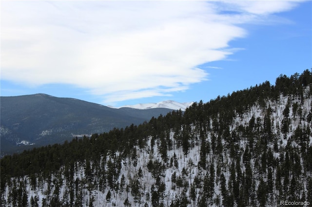 00 Two Brothers Rd, Idaho Springs, CO 80425 - photo 9