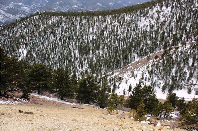 00 Two Brothers Rd, Idaho Springs, CO 80425 - photo 11