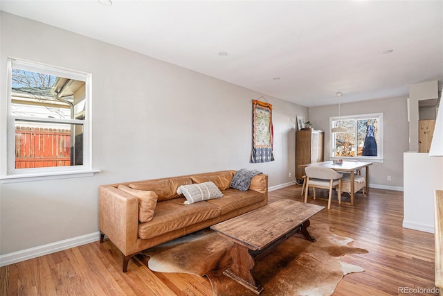 living room with hardwood / wood-style floors and plenty of natural light