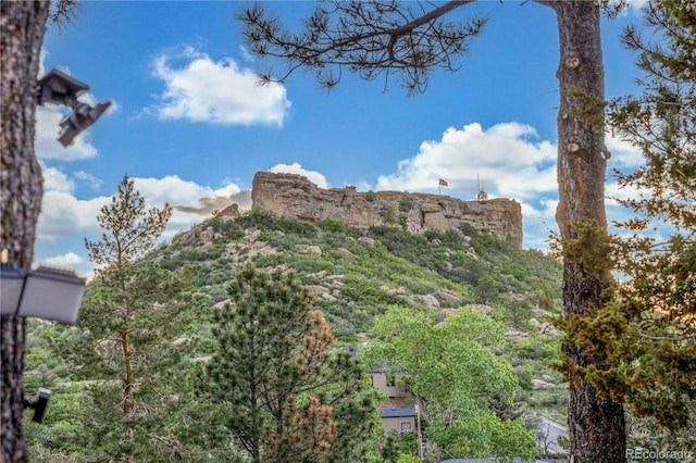 19 Rock Ln, Castle Rock, CO 80104 - mountain view